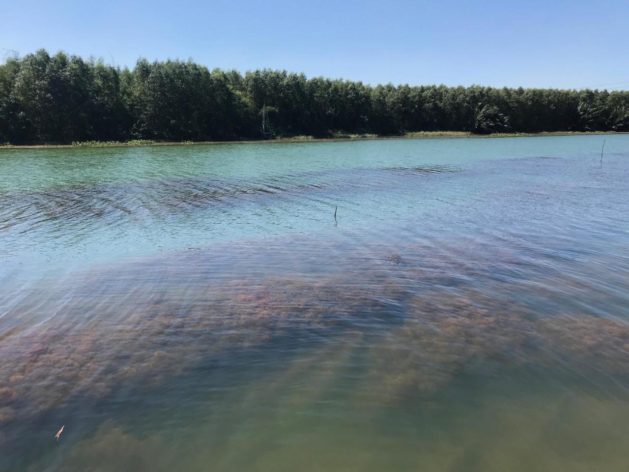 Chi-Bu Riverside Nhon Trach Экстерьер фото